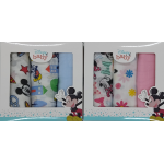 QUADRATO GARZA DISNEY CONF.3PZ ART.WX6104-WX6103